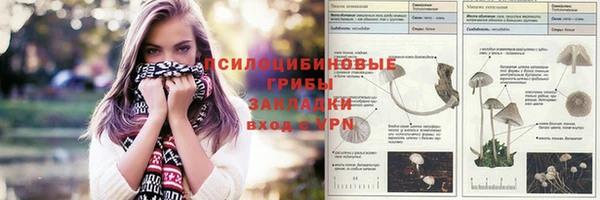 МДПВ Кукмор