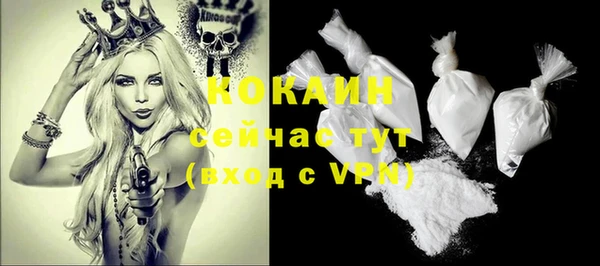 МДПВ Кукмор