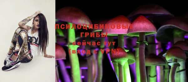 МДПВ Кукмор
