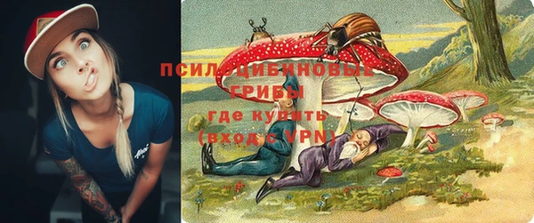 МДПВ Кукмор
