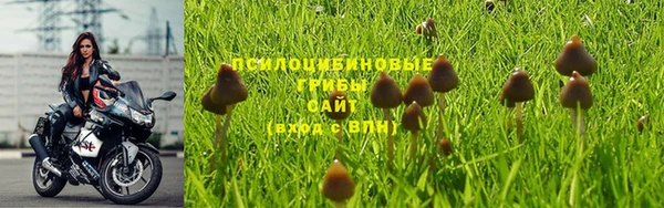 МДПВ Кукмор