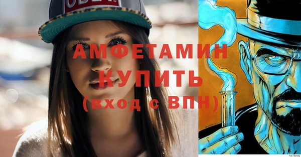 молекула духа Бердск