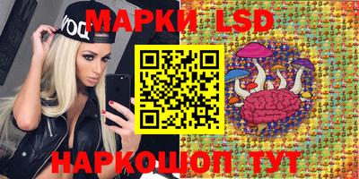дмт Кинель