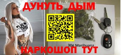 бошки Кингисепп