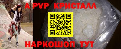 бошки Кингисепп