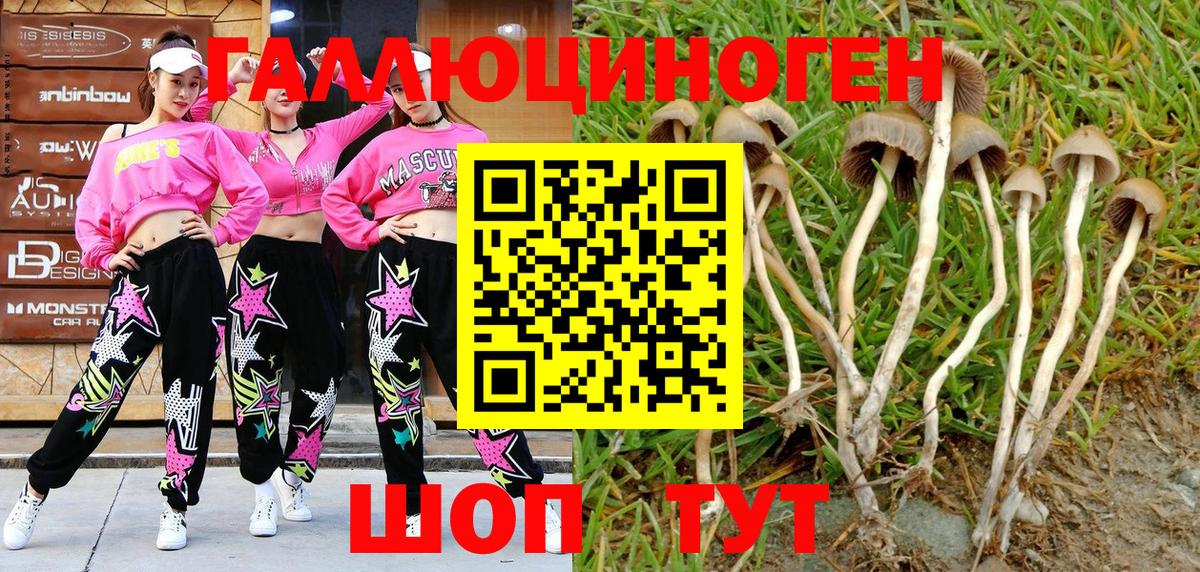 Псилоцибиновые грибы MAGIC MUSHROOMS  как найти закладки  Галлюциногенные грибы GOLDEN TEACHER  Магадан 