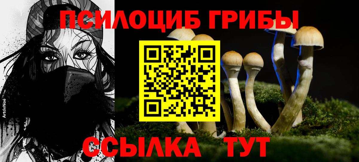 Псилоцибиновые грибы GOLDEN TEACHER  Галлюциногенные грибы Magic Shrooms  Магадан  Вход с VPN 