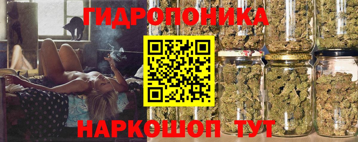 Канабис план  Магадан  Шишки марихуана ГИДРОПОН  Марихуана Amnesia 